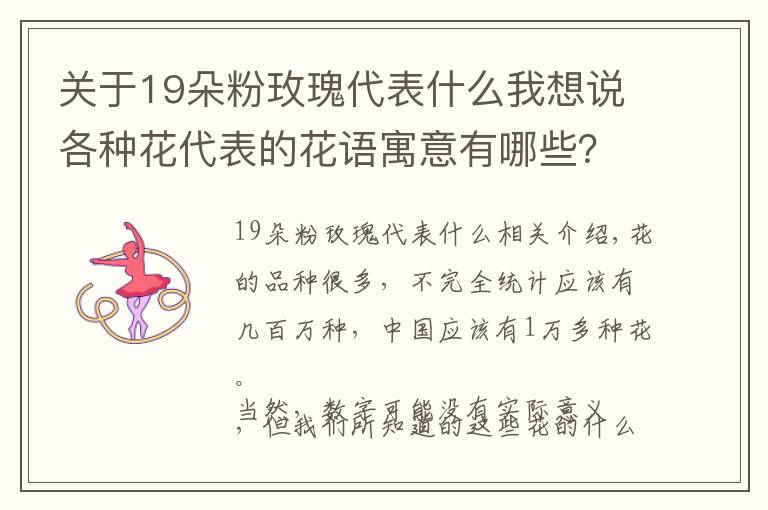 關(guān)于19朵粉玫瑰代表什么我想說(shuō)各種花代表的花語(yǔ)寓意有哪些？您知道多少呢