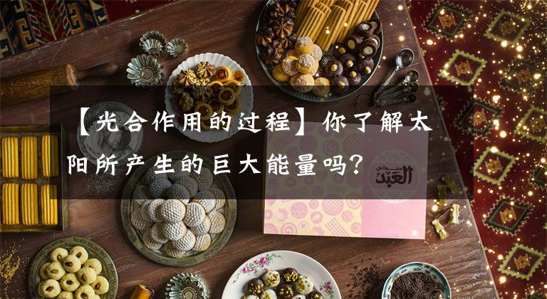 【光合作用的過程】你了解太陽所產(chǎn)生的巨大能量嗎？