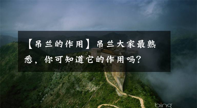 【吊蘭的作用】吊蘭大家最熟悉，你可知道它的作用嗎？