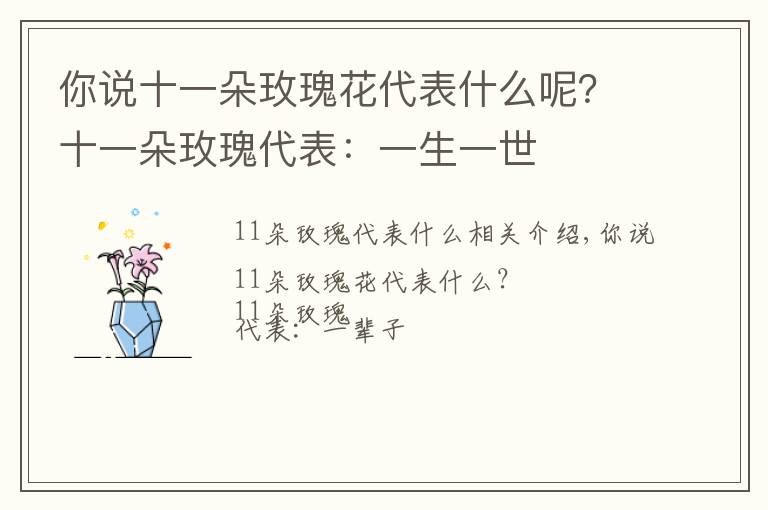 你說十一朵玫瑰花代表什么呢？十一朵玫瑰代表：一生一世