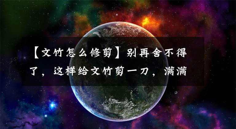 【文竹怎么修剪】別再舍不得了，這樣給文竹剪一刀，滿滿的文藝感！