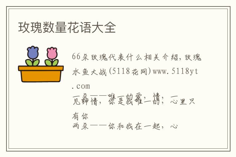 玫瑰數(shù)量花語大全