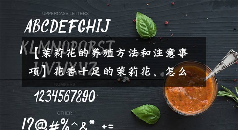 【茉莉花的養(yǎng)殖方法和注意事項】花香十足的茉莉花，怎么才能養(yǎng)好？有“5件事”要注意