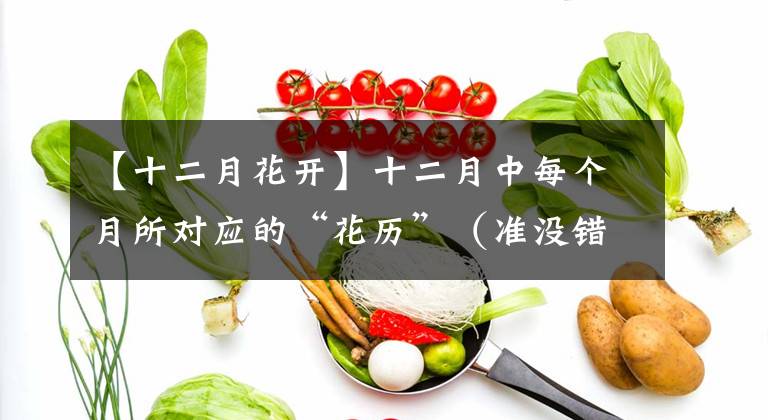 【十二月花開(kāi)】十二月中每個(gè)月所對(duì)應(yīng)的“花歷”（準(zhǔn)沒(méi)錯(cuò)?。?></a></div> <div   id=