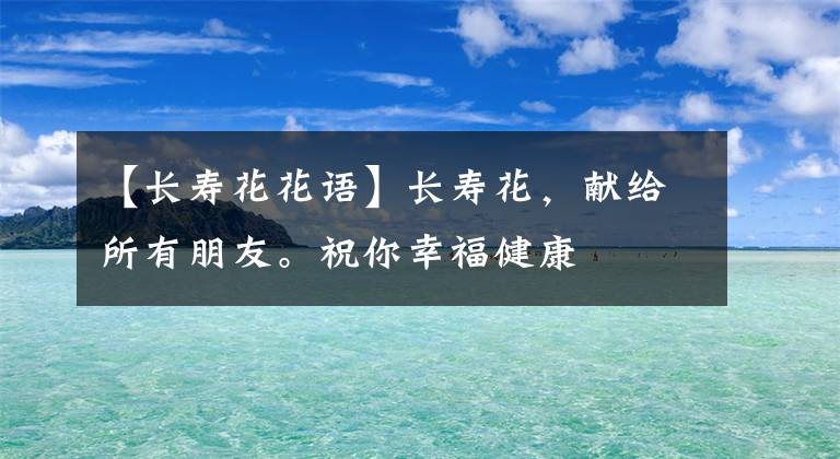 【長壽花花語】長壽花，獻給所有朋友。祝你幸福健康