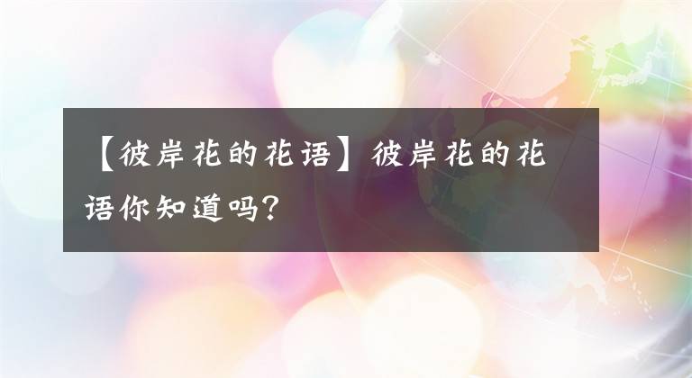 【彼岸花的花語(yǔ)】彼岸花的花語(yǔ)你知道嗎？