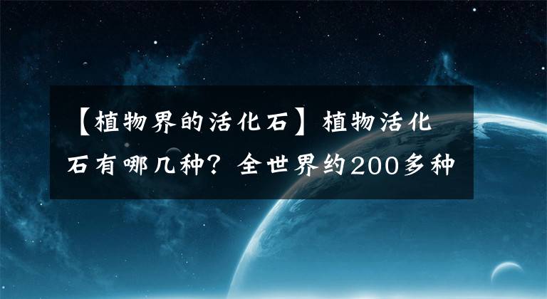 【植物界的活化石】植物活化石有哪幾種？全世界約200多種，中國特有8大活化石樹種