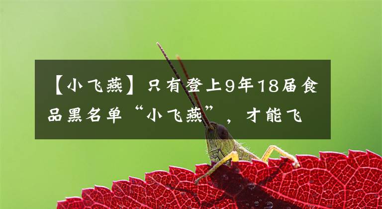 【小飛燕】只有登上9年18屆食品黑名單“小飛燕”，才能飛