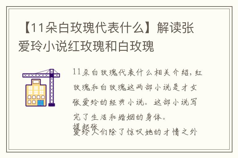 【11朵白玫瑰代表什么】解讀張愛玲小說紅玫瑰和白玫瑰