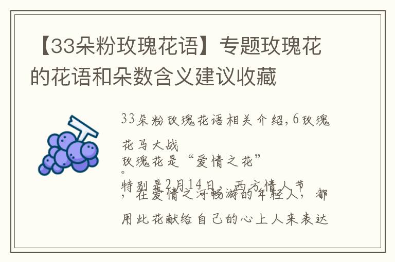 【33朵粉玫瑰花語】專題玫瑰花的花語和朵數(shù)含義建議收藏