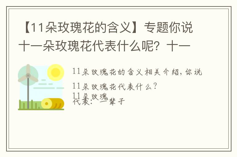 【11朵玫瑰花的含義】專題你說十一朵玫瑰花代表什么呢？十一朵玫瑰代表：一生一世