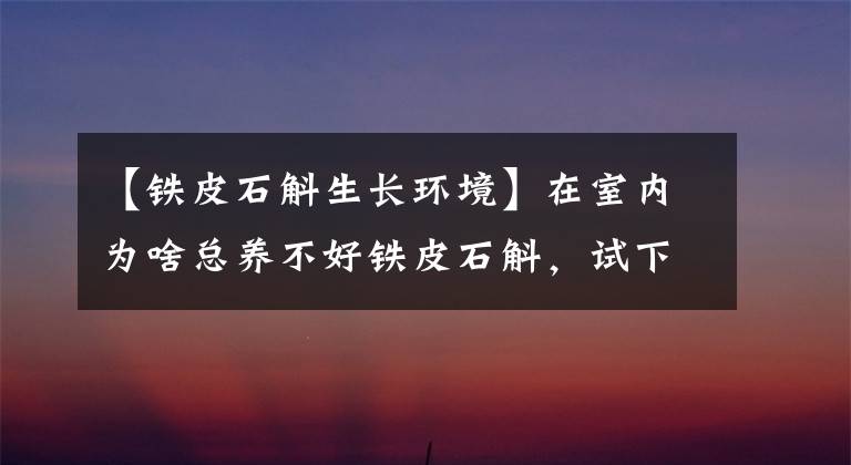 【鐵皮石斛生長環(huán)境】在室內(nèi)為啥總養(yǎng)不好鐵皮石斛，試下這幾種方法，保準不斷長葉