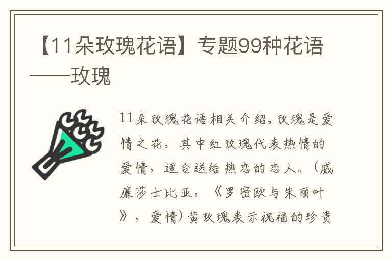 【11朵玫瑰花語】專題99種花語——玫瑰