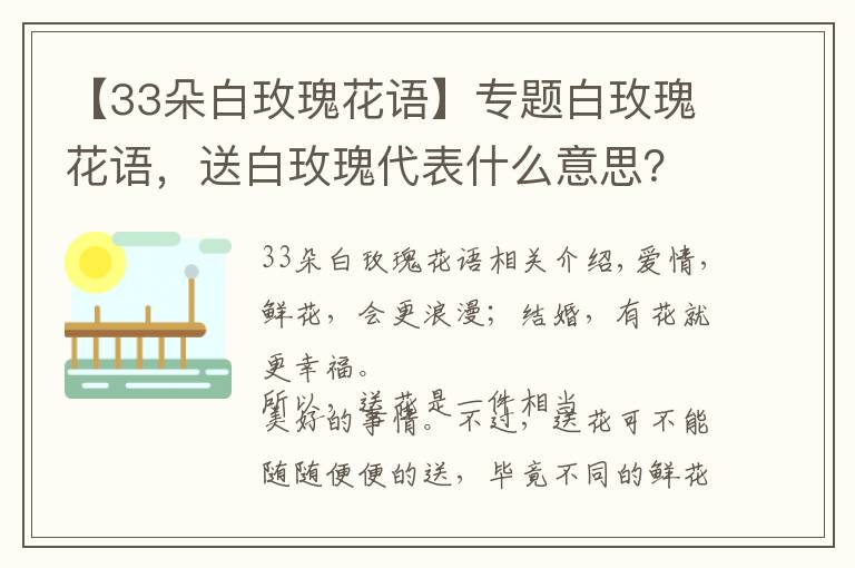 【33朵白玫瑰花語(yǔ)】專題白玫瑰花語(yǔ)，送白玫瑰代表什么意思？