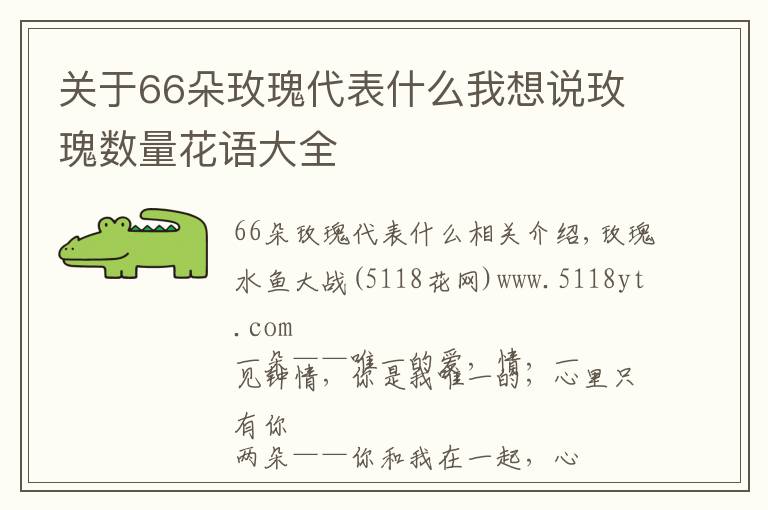 關于66朵玫瑰代表什么我想說玫瑰數(shù)量花語大全