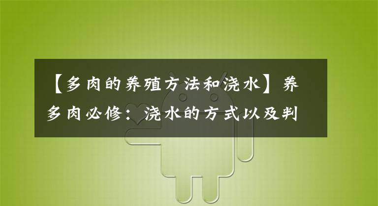 【多肉的養(yǎng)殖方法和澆水】養(yǎng)多肉必修：澆水的方式以及判斷動(dòng)手時(shí)機(jī)的技巧