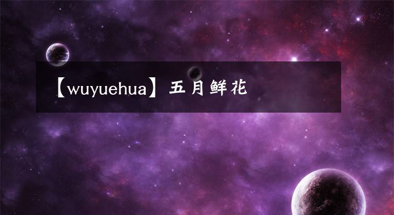 【wuyuehua】五月鮮花