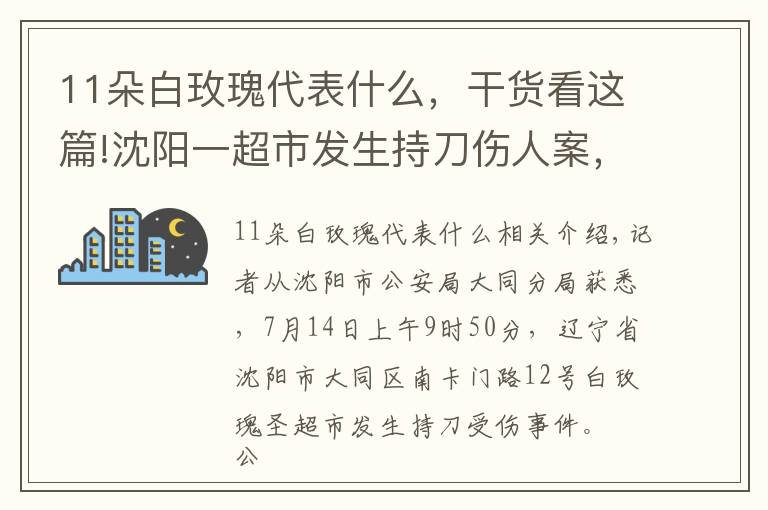 11朵白玫瑰代表什么，干貨看這篇!沈陽一超市發(fā)生持刀傷人案，嫌疑人可能攜帶兇器，警方正在抓捕