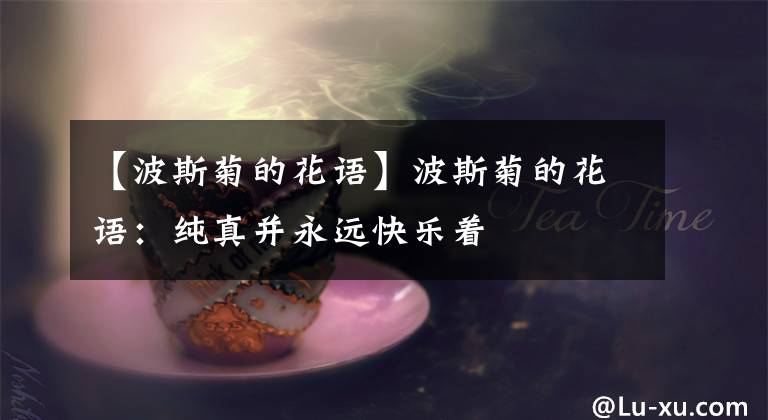 【波斯菊的花語】波斯菊的花語：純真并永遠(yuǎn)快樂著