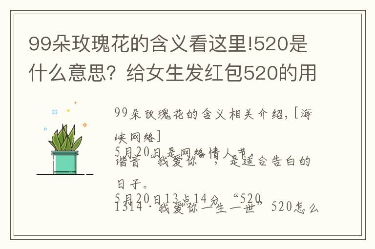 99朵玫瑰花的含義看這里!520是什么意思？給女生發(fā)紅包520的用意 男生520表白方式攻略