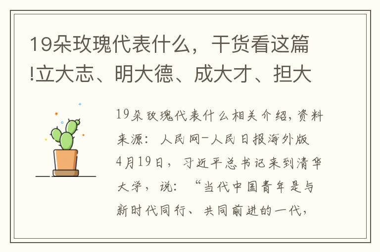 19朵玫瑰代表什么，干貨看這篇!立大志、明大德、成大才、擔大任