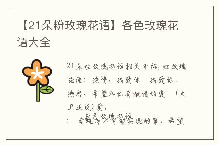 【21朵粉玫瑰花語】各色玫瑰花語大全