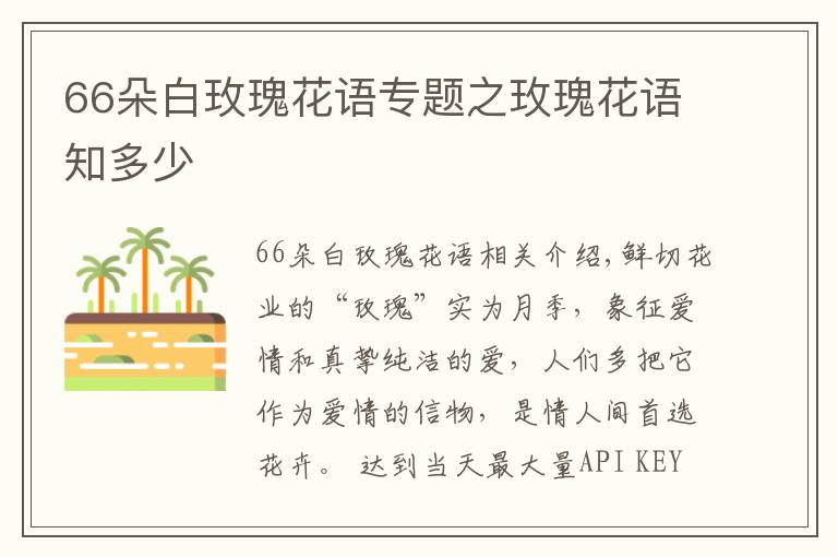 66朵白玫瑰花語(yǔ)專(zhuān)題之玫瑰花語(yǔ)知多少