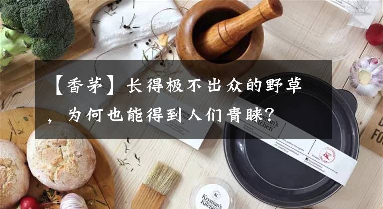 【香茅】長得極不出眾的野草，為何也能得到人們青睞？