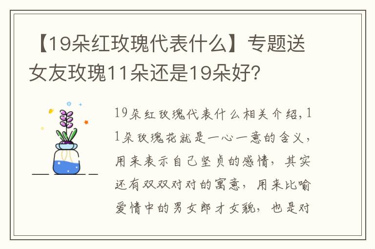 【19朵紅玫瑰代表什么】專題送女友玫瑰11朵還是19朵好？