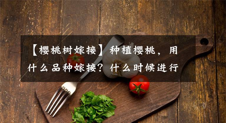 【櫻桃樹嫁接】種植櫻桃，用什么品種嫁接？什么時(shí)候進(jìn)行？