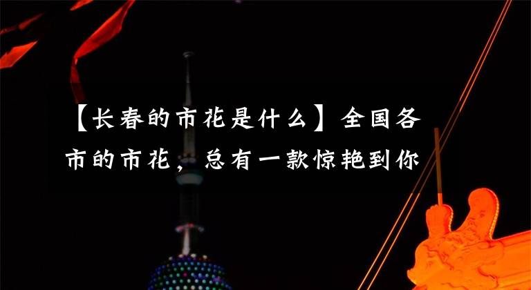 【長春的市花是什么】全國各市的市花，總有一款驚艷到你！你家鄉(xiāng)是什么花？