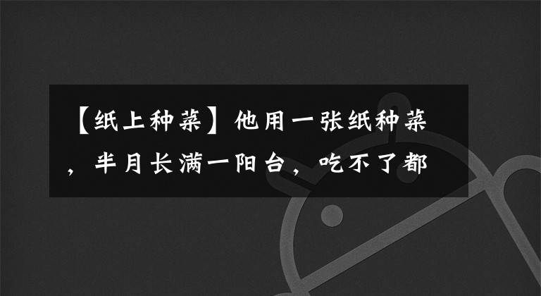 【紙上種菜】他用一張紙種菜，半月長滿一陽臺，吃不了都送人了