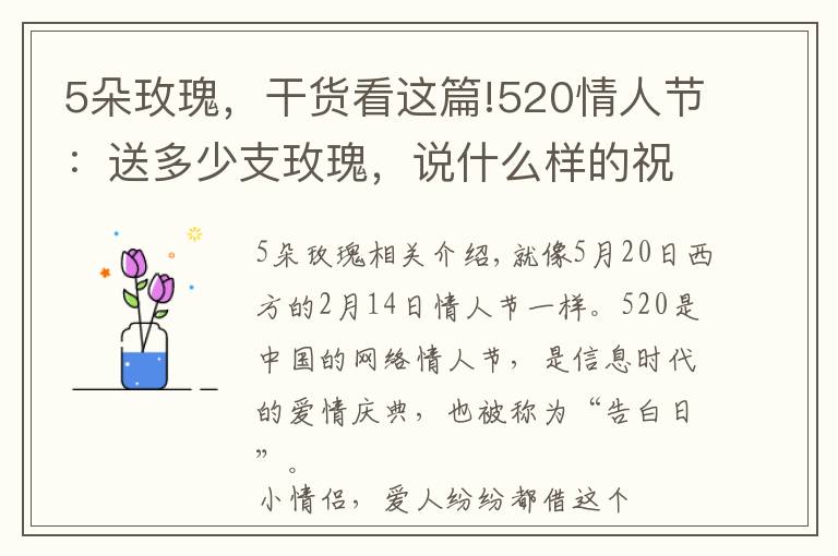 5朵玫瑰，干貨看這篇!520情人節(jié)：送多少支玫瑰，說什么樣的祝福語最合適？