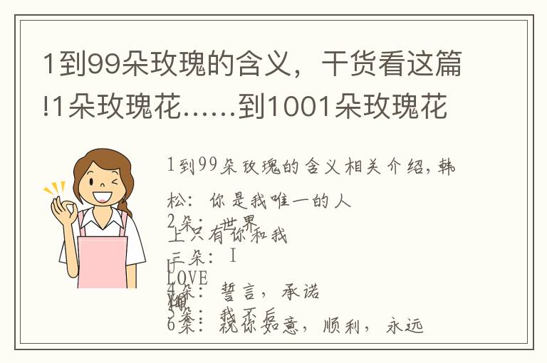 1到99朵玫瑰的含義，干貨看這篇!1朵玫瑰花……到1001朵玫瑰花，都代表什么，你知道嗎？