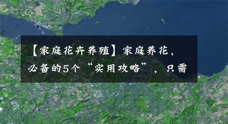 【家庭花卉養(yǎng)殖】家庭養(yǎng)花，必備的5個(gè)“實(shí)用攻略”，只需2分鐘，受用一輩子