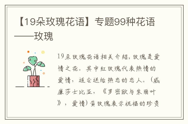 【19朵玫瑰花語】專題99種花語——玫瑰