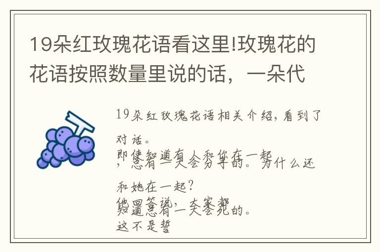 19朵紅玫瑰花語看這里!玫瑰花的花語按照數(shù)量里說的話，一朵代表惟一的愛