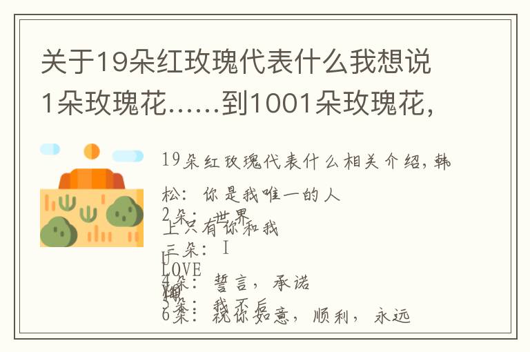 關(guān)于19朵紅玫瑰代表什么我想說1朵玫瑰花……到1001朵玫瑰花，都代表什么，你知道嗎？