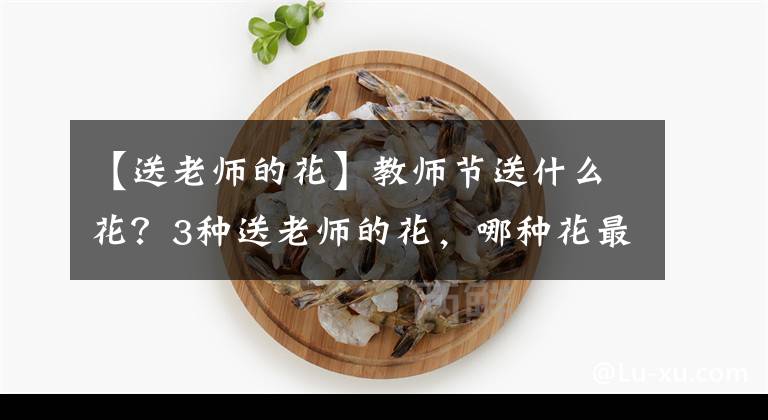 【送老師的花】教師節(jié)送什么花？3種送老師的花，哪種花最能表達(dá)對老師的感激？