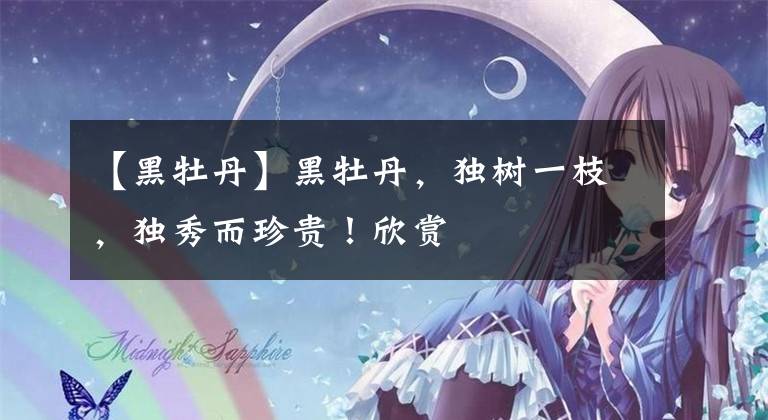 【黑牡丹】黑牡丹，獨(dú)樹一枝，獨(dú)秀而珍貴！欣賞