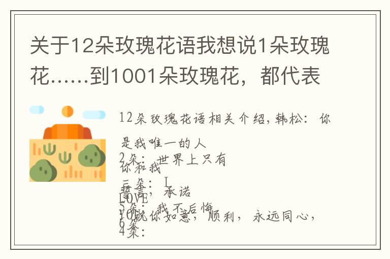 關(guān)于12朵玫瑰花語我想說1朵玫瑰花……到1001朵玫瑰花，都代表什么，你知道嗎？