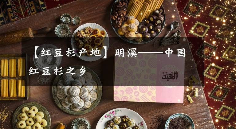 【紅豆杉產(chǎn)地】明溪——中國紅豆杉之鄉(xiāng)