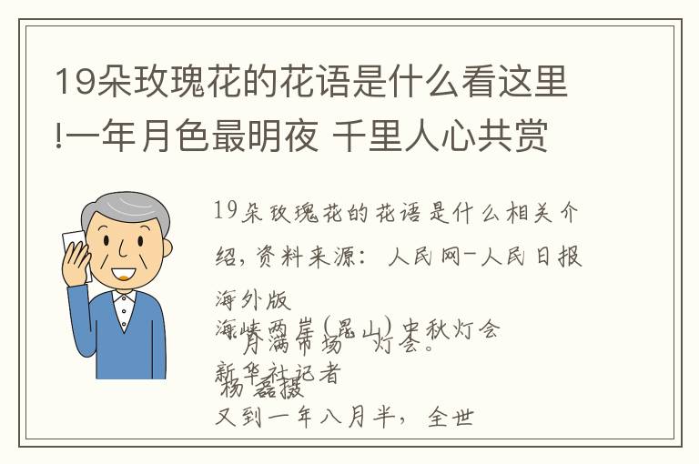 19朵玫瑰花的花語是什么看這里!一年月色最明夜 千里人心共賞時