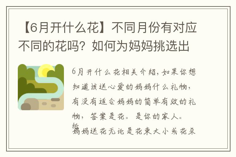 【6月開什么花】不同月份有對應不同的花嗎？如何為媽媽挑選出生月份的花？