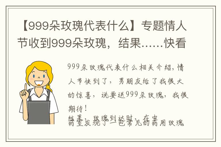 【999朵玫瑰代表什么】專(zhuān)題情人節(jié)收到999朵玫瑰，結(jié)果……快看看哪款玫瑰花茶最適合你！