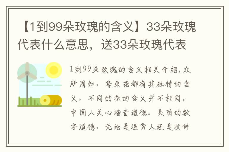 【1到99朵玫瑰的含義】33朵玫瑰代表什么意思，送33朵玫瑰代表什么（生生世世的愛）