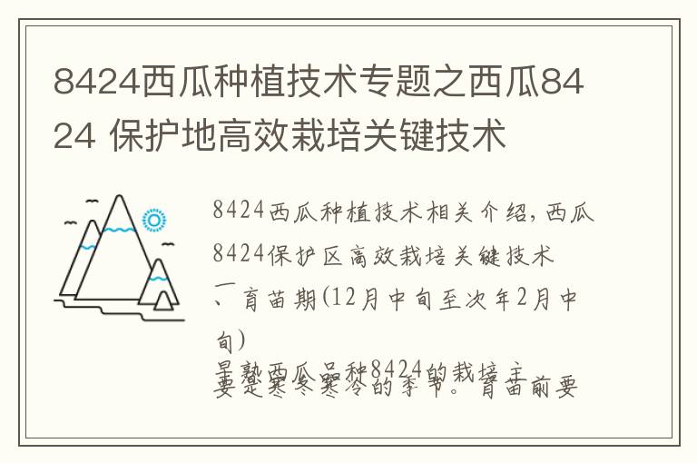 8424西瓜種植技術(shù)專題之西瓜8424 保護(hù)地高效栽培關(guān)鍵技術(shù)