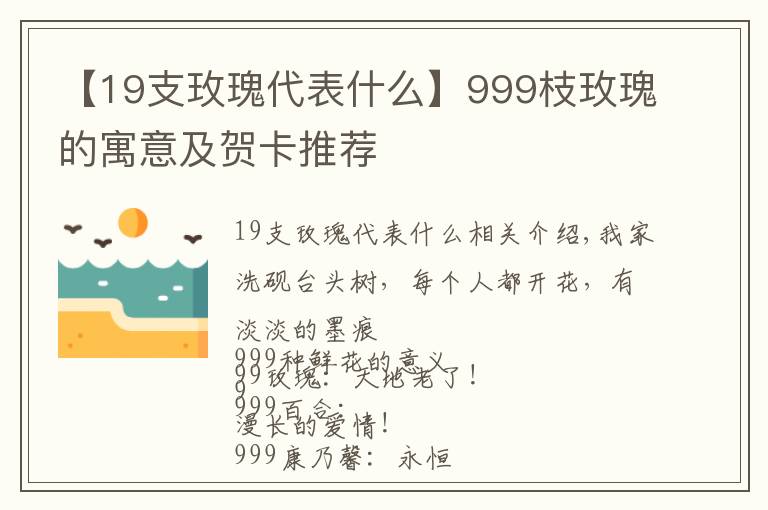 【19支玫瑰代表什么】999枝玫瑰的寓意及賀卡推薦