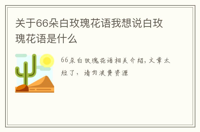 關(guān)于66朵白玫瑰花語我想說白玫瑰花語是什么