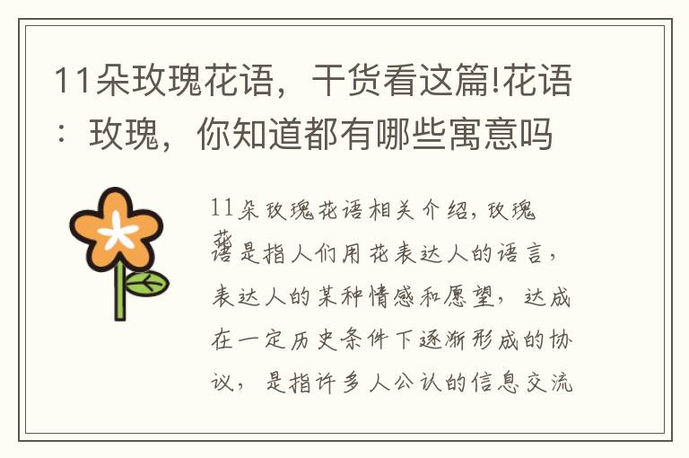 11朵玫瑰花語(yǔ)，干貨看這篇!花語(yǔ)：玫瑰，你知道都有哪些寓意嗎？